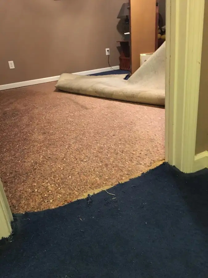 Carpet pad removal revealing water damage during Drying & Dehumidification in Collingswood